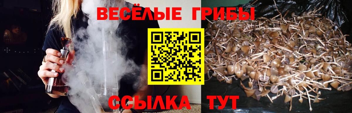 Галлюциногенные грибы MAGIC MUSHROOMS Пугачёв