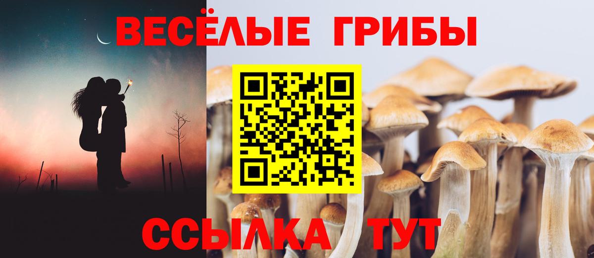 Псилоцибиновые грибы Psilocybe  Вход с VPN  цены наркотик  Пугачёв 